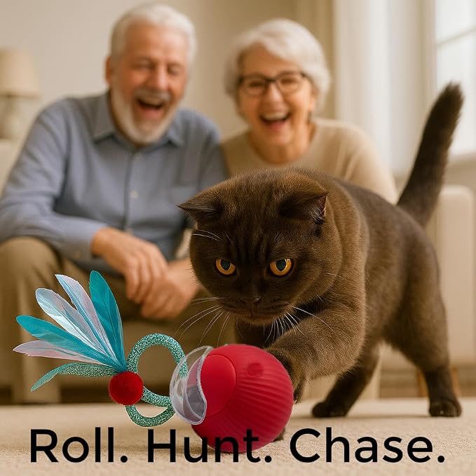 Cat Toys for Indoor Cats – Automatic Kitten Interactive Toy with Speedy Ball Tail as Pet Mental Stimulation -Kittens Small Dogs and Bored Adult Dog Balls to Keep Them Busy as Enrichment -Green