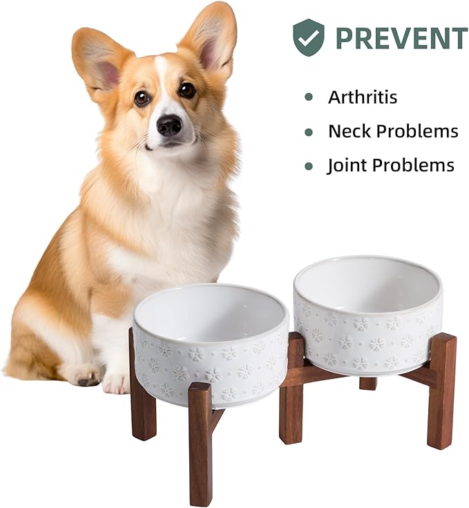 Havniva 6.1" Elevated Dog Bowls Ceramic Raised Dog Bowl with Non-Slip Stand (Acacia Wood) Two Height Options, Dog Food & Water Bowl for Small & Medium Breed Dogs - 3.4 Cups 27 oz