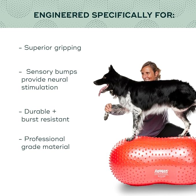 FitPAWS Traxpeanut Dog Training Accessory 50 cm