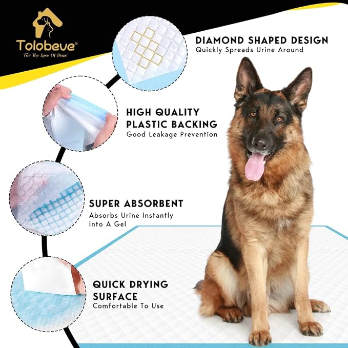 XXL Dog Training Pads – 30" x 36", 100 Count | Extra-Large Puppy Pee Pads, Super Absorbent, Leak-Proof, Odor Control Disposable Pet Pads for Housebreaking, Senior Dogs, Indoor Use
