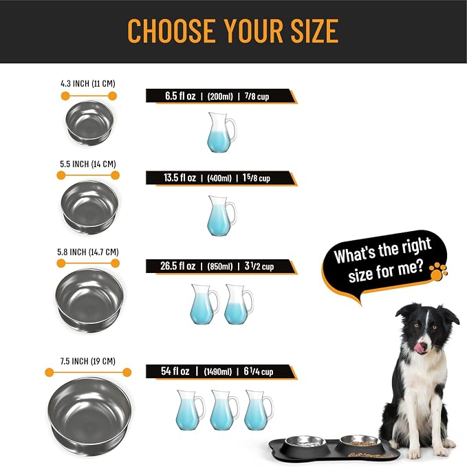 Active Pets Dog Bowl Set, Stainless Steel No Spill Mess-Proof Food & Water Food Bowls with Skid Resistant Silicone Mat, Dog Bowls Small Size Dog, Medium, & Large, Pet Puppy Bowls & Dishes