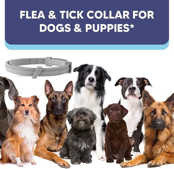 fcesiweg Flea Collars for Dogs Large, Tick Collar for Dogs, Flea Dog Collar, Adjustable for Medium & Big Breeds,Gentle and Safe for Daily Use, 8 Months Protection-2P