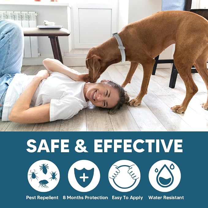 Flea Collars for Dogs, Flea & Tick Collar for Dogs, Tick Collar for Large Dogs, Comfort Fit for Sturdy Dog Tick Collar, Adjustable 8 Months Prevention-Pack of 2