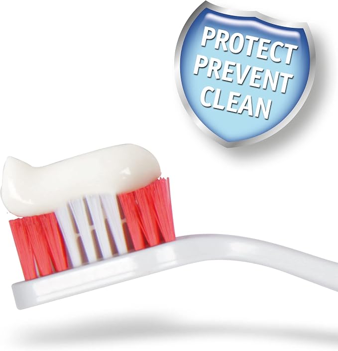 Beaphar Toothbrush and Toothpaste Kit, 100g, 2 Count (Pack of 1) (15303)