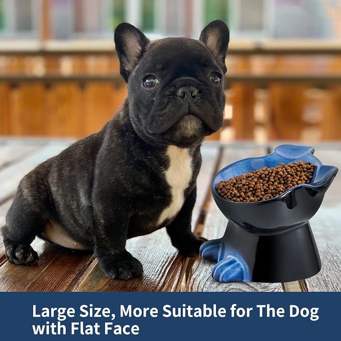 Nihow Elevated Ceramic Dog Bowls: 6.5 Inch Raised Small Dog Bowl for Food & Water - Food Safe Bowl for Medium/Small Size Dogs - Vivid Blue Puppy Bowls for Protecting Pet's Spine (1 PC)