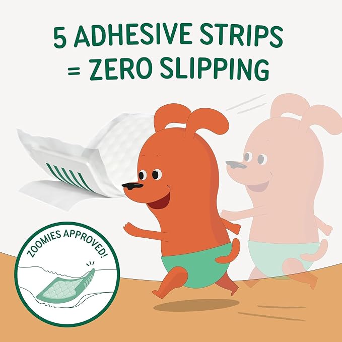 PAWPANG Disposable Dog Diaper Liners l Trial Pack (25 Count), Absorbent Inserts with Odor Control for Reusable Dog Diapers & Belly Bands (X-Small)