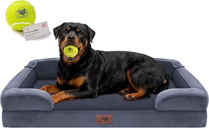 Orthopedic Dog Bed for Extra Large Dogs, XXL Waterproof Egg Crate Memory Foam Pet Bed Bolsters with Removable Washable Cover & Non-Slip Bottom, Tennis Ball Toy, 45x35