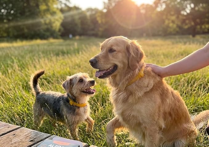 ALZOO Plant-Based Flea & Tick Dog Collar for Small-Sized Dogs: 15 lbs & Under, Helps Repel Fleas, Ticks & Mosquitoes, Waterproof, Up to 4 Months Protection, Cedarwood & Peppermint Oils, Single