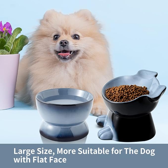 Nihow Dog Food & Water Bowl Set: Elevated Ceramic Bowls for Medium/Small Size Dogs - Food Safe Raised Puppy Bowls - Gray Pet Bowl for Protecting Pet's Spine (Set of 2)