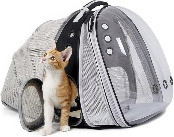 Dual Extension Cat Backpack Carrier with Removable Bubble Window, Adding Fan Bundle
