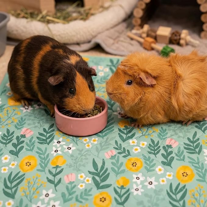 Guinea Pig Cage Liners, 59x31in 2 Pack Washable Guinea Pig Bedding, Waterproof Reusable & Anti Slip, Super Absorbent Guinea Pig Pee Pad for Small Animal, Rabbit, Bunny, Fit for C&C Cage, Green