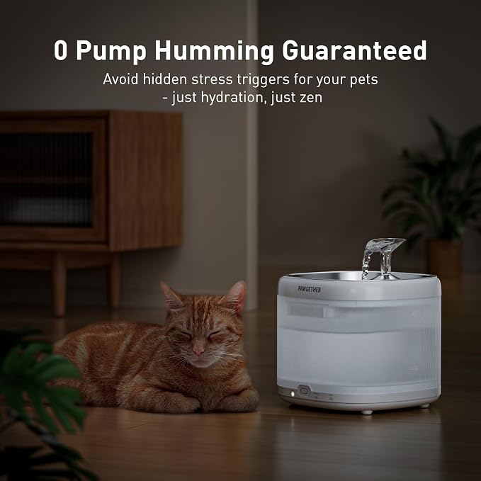 PAWGETHER® Cat Water Fountain with 4 Filters, Ultra Quiet Pumpless Pet Water Fountain with Stainless Steel Tray, 67oz/2L Water Fountains for Cats Indoor with 360° Motion Sensor for Cats & Dogs