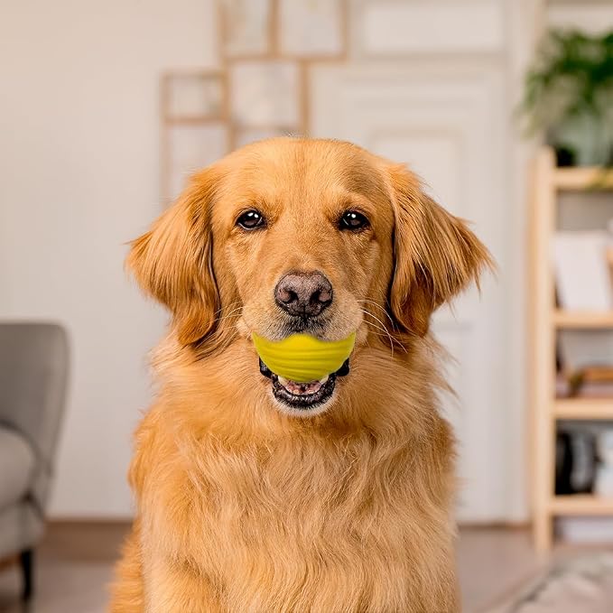 Playology Dog Toys | Dual Layer Ball Durable Chew Toy for Tough Chewers | Chicken Scented Jumbo Dog Toy | Chew Toys for Large Dogs