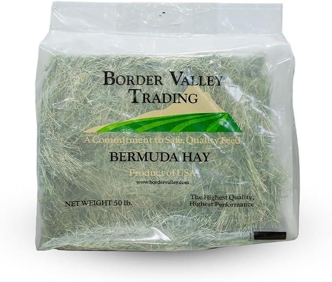 Border Valley Bermuda Grass Hay Bale in Bag, 40 lb, High Fiber Hay for Rabbits, Guinea Pigs, Chinchillas, Tortoises, Horses and Livestock - Soft Textured Grass, Farm-to-Home Freshness