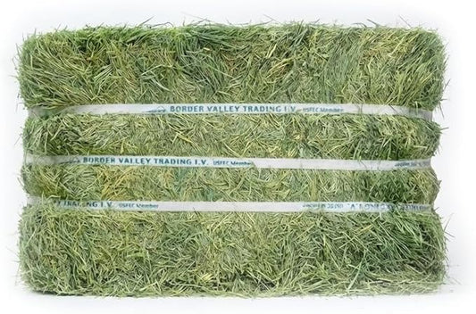 Border Valley Bermuda Grass Hay Bale in Bag, 40 lb, High Fiber Hay for Rabbits, Guinea Pigs, Chinchillas, Tortoises, Horses and Livestock - Soft Textured Grass, Farm-to-Home Freshness