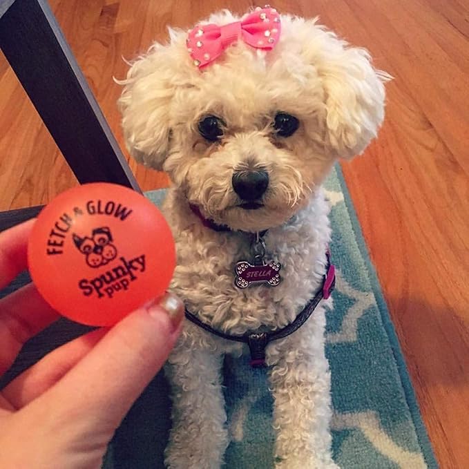 Spunky pup 6 Pack of Fetch & Glow Dog Toy Balls, Small 1.75 Inch, Assorted Colors