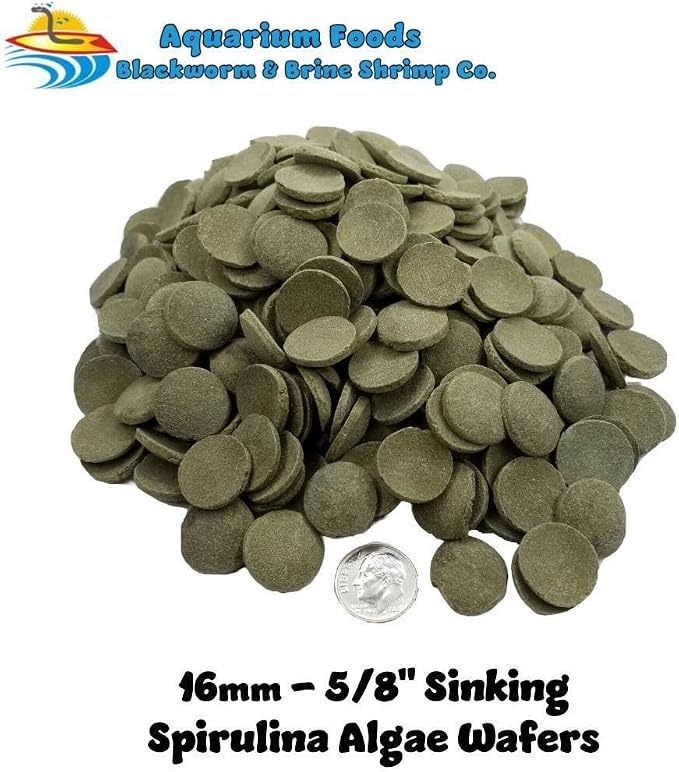 16mm - 5/8" Medium/Large Sinking Wafers of Algae, Spirulina, Veggies for All Tropical Fish, African Cichlids, Shrimp, Snails, Crabs, Catfish, Plecos..…3-lbs 8.3oz Clear Bag