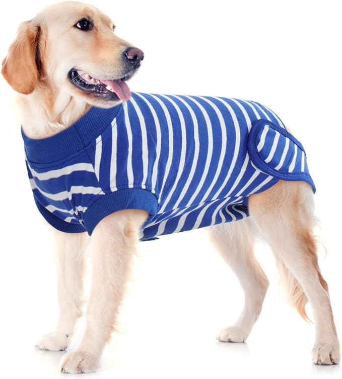 IDOMIK Dog Recovery Suit - Female Spay & Male Neuter Onesie, Soft Abdominal Wound Bandage & E-Collar Cone Alternative