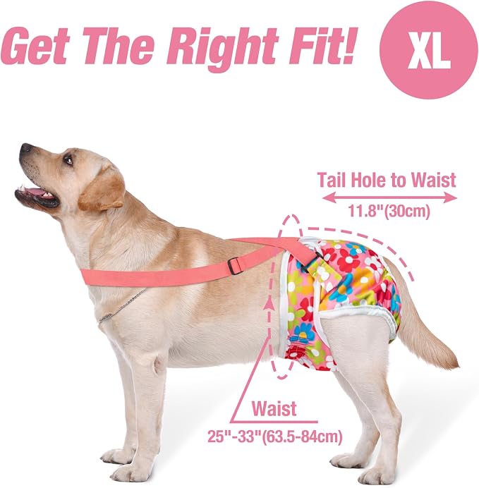 Pet Soft Dog Diapers Female with Suspenders, 3 Pack Reusable Female Dog Diapers for Heat, Dog Period Panties for Doggie in Cycle(X-Large, Floral)