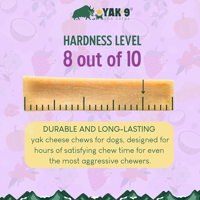Yak9 Yak Cheese Himalayan Dog Chews, Pumpkin | High Protein, High Fiber Pumpkin Treats for Dogs | Long Lasting, Non GMO, Gluten Free, Grain Free | Medium Size, 7 PC