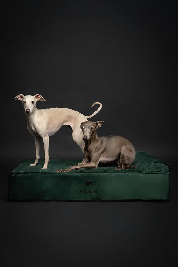 NOAH & PAW Large Dog Bed, 35x25x8.7 Inch, Orthopedic Dog Beds, Eggshell Memory Foam Infused with Cooling Gel, Water Resistant, Machine Washable, Includes Inner Cover (Velvet Collection)