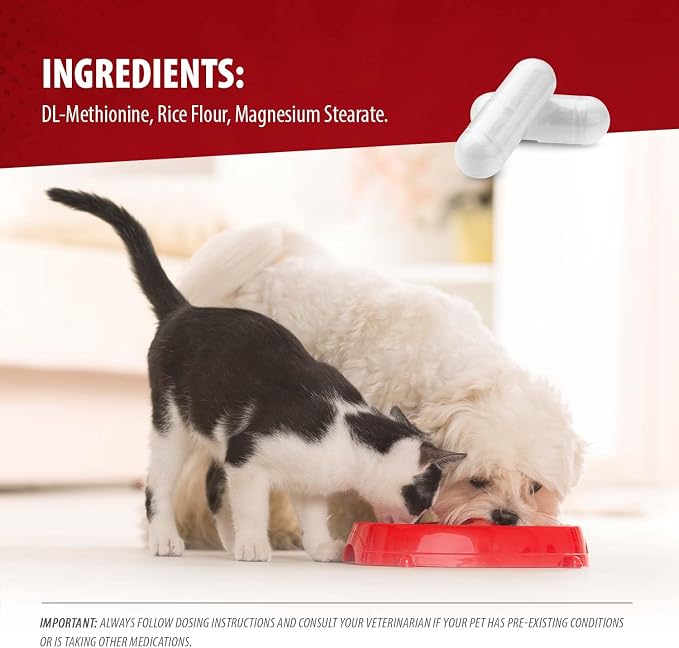 Jeffers Pet Uracid DL-Methionine Capsules for Dogs & Cats, Urinary pH Acidifier for Crystals, Bladder Stones, Urinary Tract Support, Fast Acting Urinary Health Supplement, Made in USA - 100 Capsule