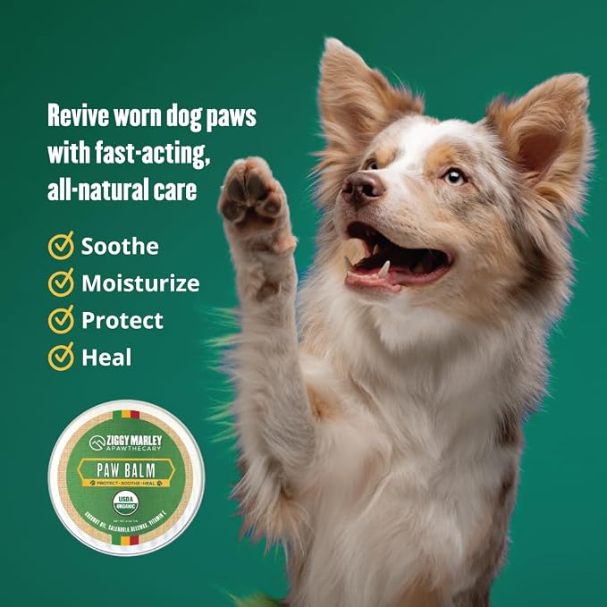 Organic Dog Wellness Bundle: USDA Grass-Fed Beef Bone Broth Powder for Joint & Gut Health (8oz) + Organic Soothing Paw Balm for Dry, Cracked Pads – All-Natural, Sustainably Sourced Pet Care K