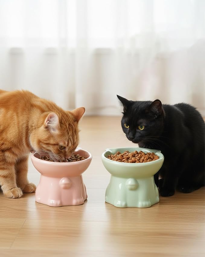 Ceramic Elevated Cat Bowls, 4 Pack 5 Oz Whisker Friendly Cat Bowls Cats Food Bowl Cats Food Dishes for Cats, Small Dog, Kitten, Microwave & Dishwasher Safe, 5.1 x 4.3 inch