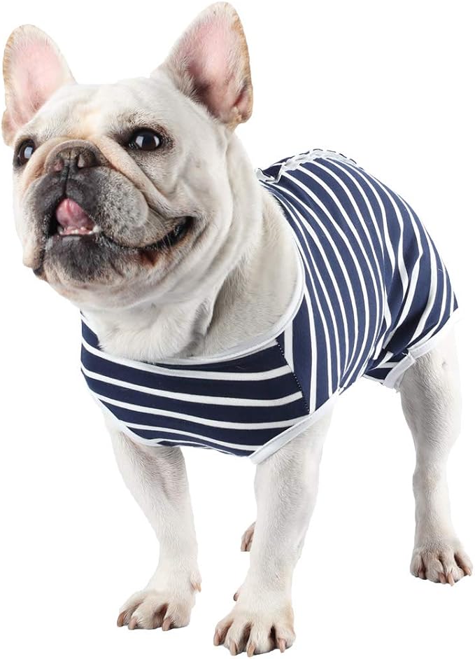 Etdane Dog Diapers Sanitary Panties Physiological Period Shirts Surgical Recovery Suits for Male and Female Dogs (Large, Blue Stripe)