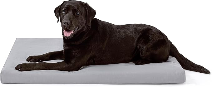 PELZIN Cybarmour Chew Proof Dog Bed - Orthopedic Indestructible Dog Crate Pad - Outdoor Waterproof Kennel Mat for Aggressive Chewers - Large Breeds & Fits 42-Inch Crate - 41"x27", Limestone