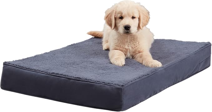 Happy Hounds Oscar Rectangle Orthopedic Foam Sherpa Dog Bed, Small (36 x 24 in.), Prussian Blue