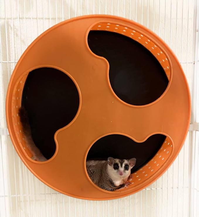 Silent Runner 12" with Autoclean | Sugar Glider Wheel