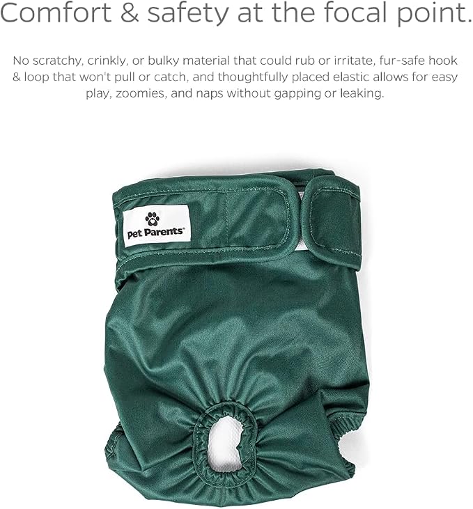 Pet Parents® Washable Dog Diapers (3pack) + Extendrs® of Durable Doggie Diapers, Premium Dog Diapers Female (X-Small, Samba)