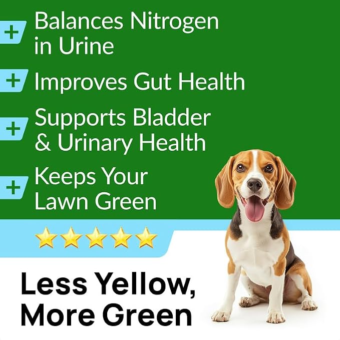 PAWFECTCHEW Dog Pee Grass Chews - Grass Treatment for Pet Urine - Neutralizer for Green Grass Burn Urine Spots - Green Lawn Chews for Dogs with Probiotics - Made in USA (120Ct)