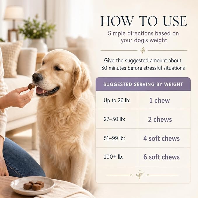 Calming Chews for Dogs – Soft Chews with Melatonin & Natural Calming Blend to Support Relaxed Behavior During Fireworks, Thunderstorms, Grooming & Travel, 60 Count
