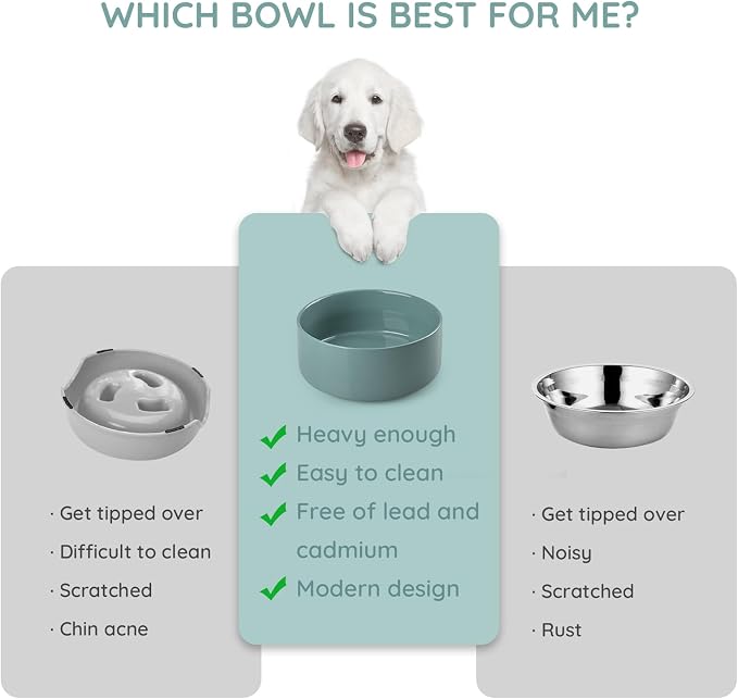 SPUNKYJUNKY 42OZ Ceramic Dog and Cat Bowl, Modern Cute Weighted Food Water Bowl for Replacement Light Green (2 Pack)