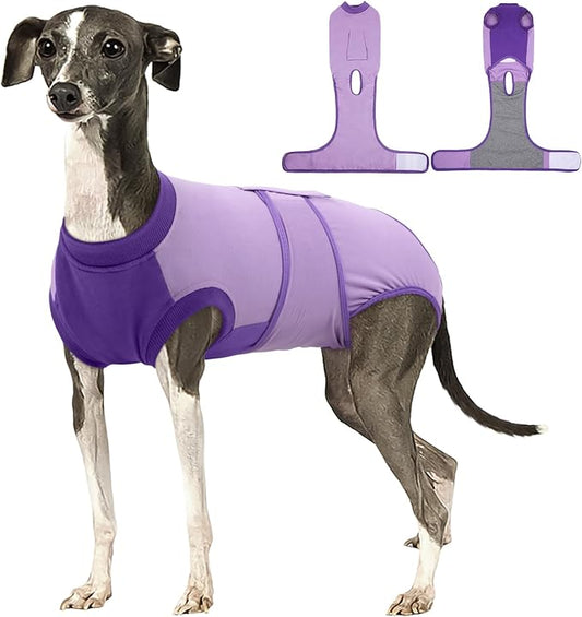 Kuoser Recovery Suit for Dogs After Surgery, Soft Dog Surgery Suit Female Male, Breathable Pet Surgical Recovery Shirt, Anti Licking Dog Onesie for Abdominal Wounds Cone Alternatives, Purple L