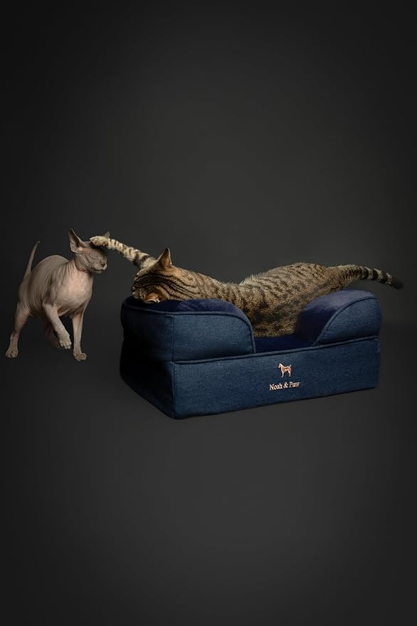 NOAH & PAW Small Dog Bed, 20x15x8 Inch, Cat Bed for Indoor Cats, Orthopedic Eggshell Memory Foam Infused with Cooling Gel, Water Resistant Inner Cover Machine Washable (Denim Collection)