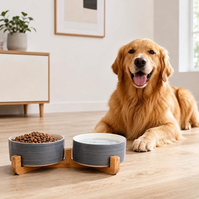 Petygooing Dog Bowls,Ceramic Cat Dog Bowl Set with Wood Stand for Food and Water,Non-Slip Weighted Cute Pet Dish Set for Cats and Medium Size Dogs (28OZ/6.1 in) Grey White