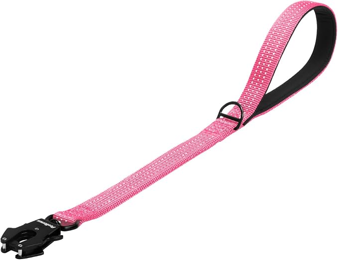PetBonus Heavy Duty 24 Inch Short Dog Leash and 2-Pack Large Silicone Collapsible Dog Bowls
