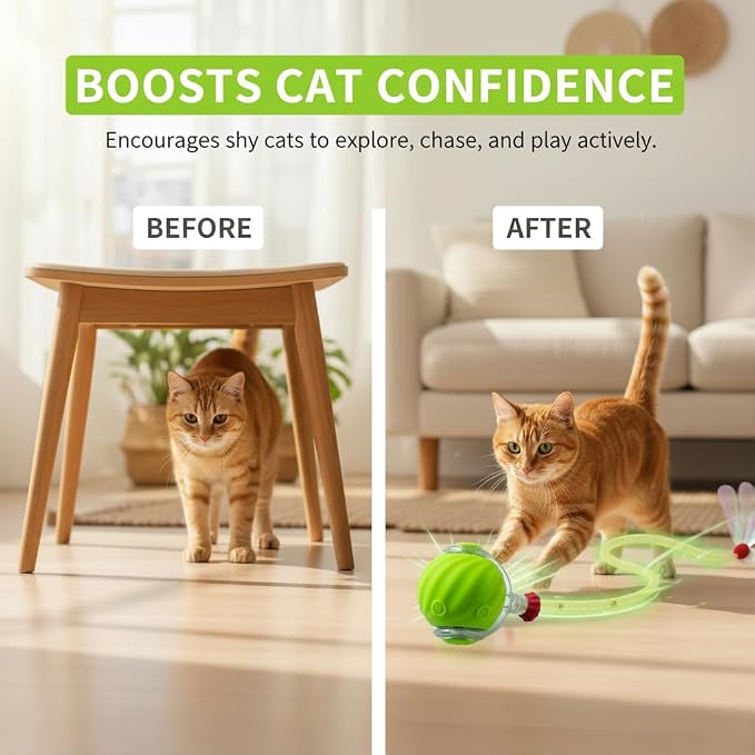 Cat Toys for Indoor Cats – 2X Automatic Kitten Interactive Toy with Speedy Ball Tail as Pet Mental Stimulation - 2-Set Bundle - 2026 Edition (Random Color)