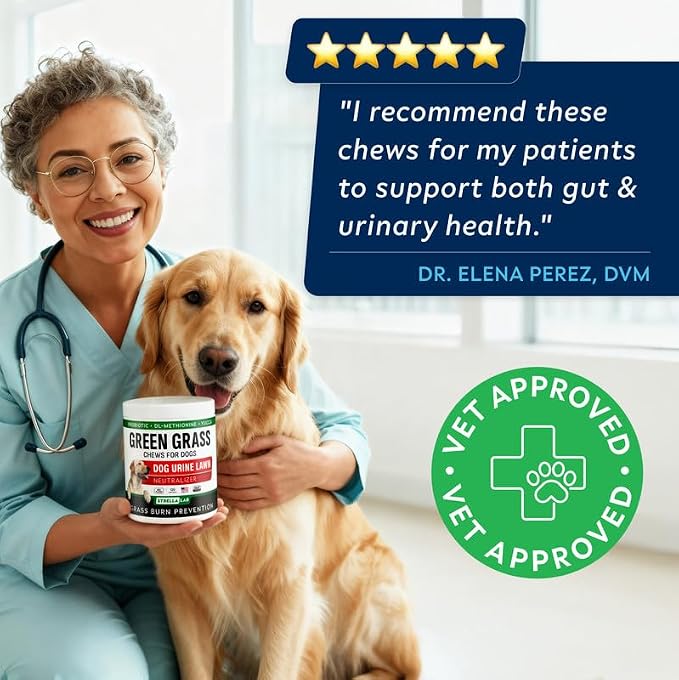STRELLALAB Dog Pee Grass Chews - Urine Neutralizer for Green Grass Burn Spots - Grass Treatment for Pet Urine - Green Lawn Chews for Dogs with Probiotics - Made in USA (120Ct)
