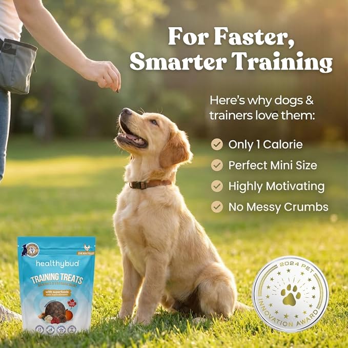 healthybud Mini Dog Training Treats - Beef Liver Soft Trainer Bites, 500+ Bits, 1 kCal per Bite, 6.5oz, Reishi, Lion’s Mane, Salmon Oil, Puppy Chews (Chicken)
