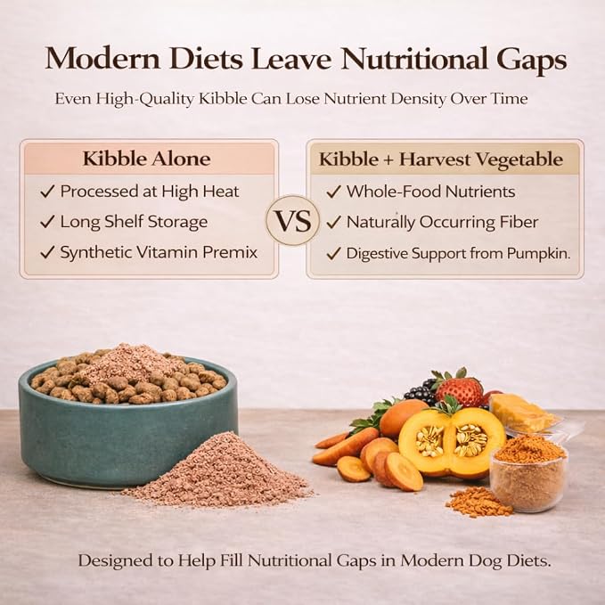 Natural Dog Company Harvest Vegetable Granules Dog Food Topper – Pumpkin Digestive Support Granules for Dogs, Fiber-Rich Superfood Blend for Gut Health, Holistic Care & Prebiotic Fiber, 8oz Bag