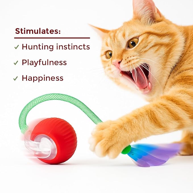 Cat Toys for Indoor Cats – Automatic Kitten Interactive Toy with Speedy Ball Tail as Pet Mental Stimulation - Kittens Small Dogs and Bored Adult Dog Balls to Keep Them Busy as Enrichment - Red