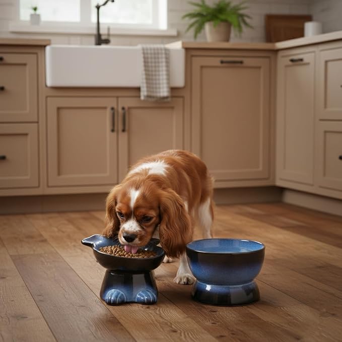 Nihow Dog Food & Water Bowl Set: Elevated Ceramic Dog Bowls for Medium/Small Size- Food Safe Raised Puppy Bowls - Vivid Blue Pet Bowl for Protecting Pet's Spine (Set of 2)