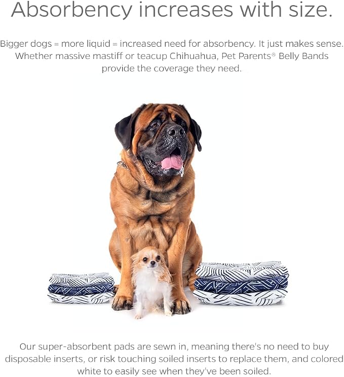 Pet Parents® Washable Belly Bands for Male Dogs (3pack) + Extendrs® of Durable Dog Diapers Male, Premium Male Dog Diapers & Dog Wraps (X-Small, Kahuna)