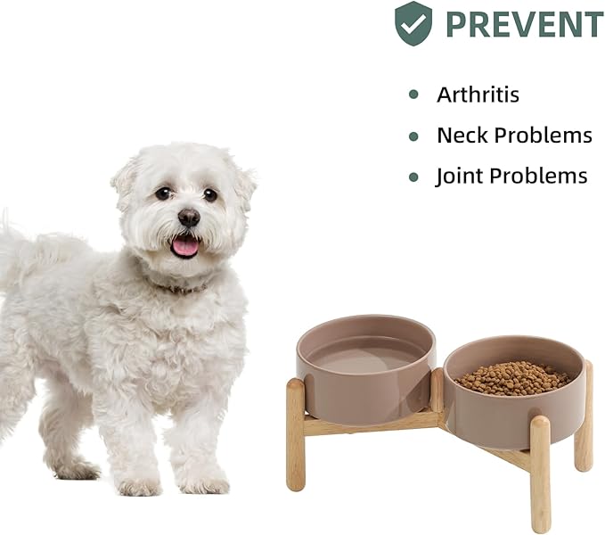 Havniva 6.1inch Ceramic Raised Dog Bowl with Stand, Double Dog Bowls Elevated for Small and Medium Breed Dog Food and Water Bowl Set Non-Slip Dog Dish Large Capacity Feeding Pet Water Bowl