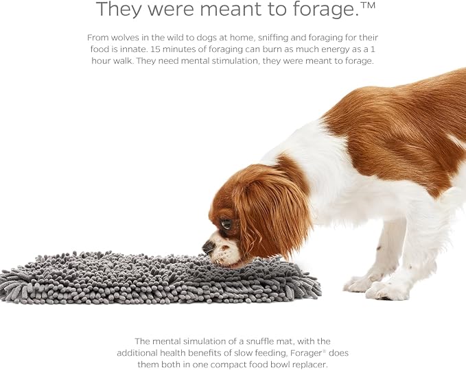 Pet Parents Forager Slow Feeder CAT and Dog Snuffle MAT and Feeding MAT, Forest Grey, Large