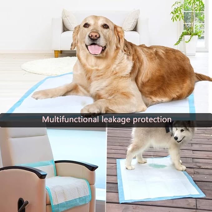 Extra Large Puppy Pads,36"x36" Pee Pads for Dogs,100 Count Training Dog Pee Pads Absorbent & Leak-Proof &Quick Dry,Disposable Pet Potty Pads for House Training Dogs Cats, Rabbits.